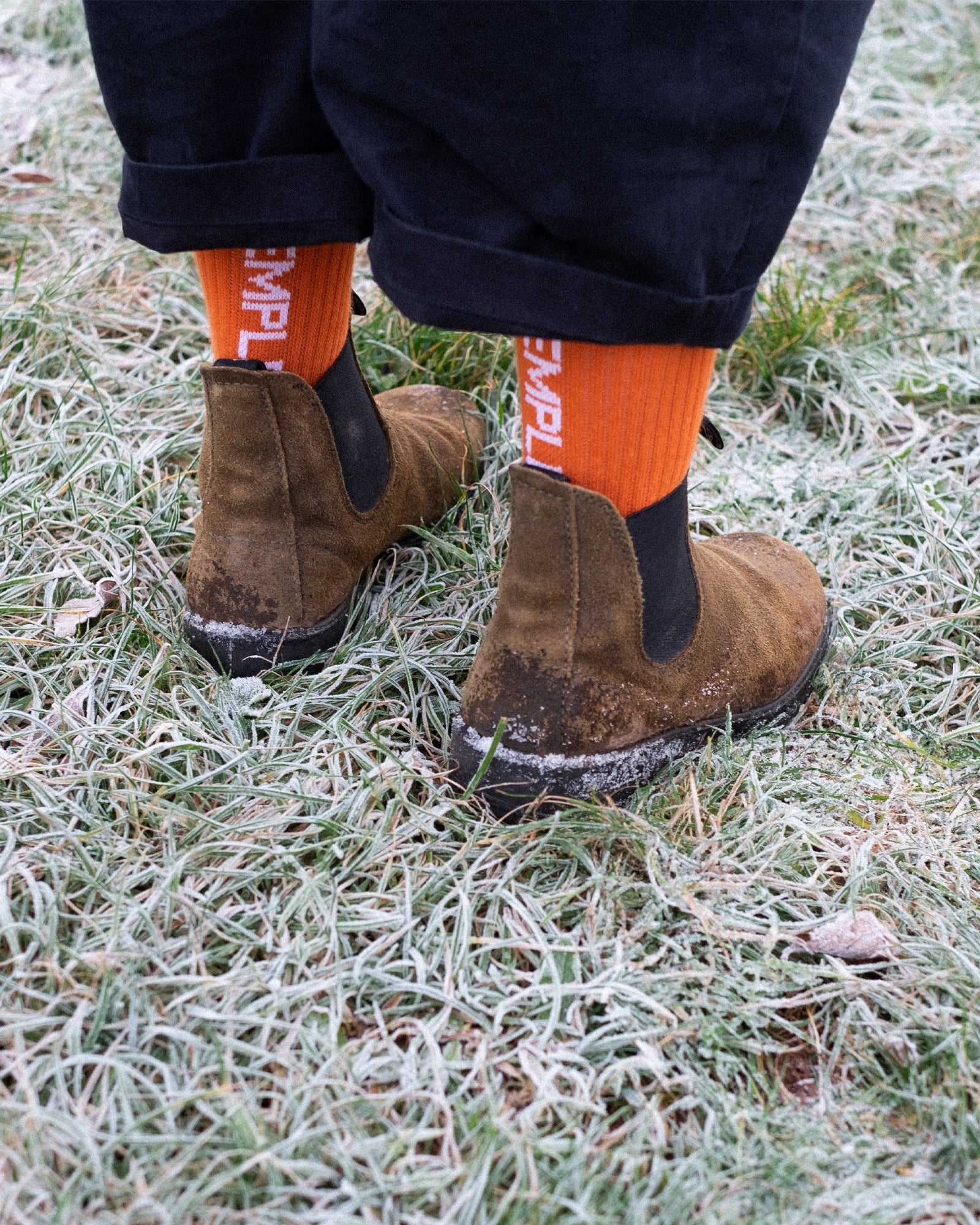 EVERYDAY SOCKS